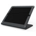 Windfall iPad stand Image